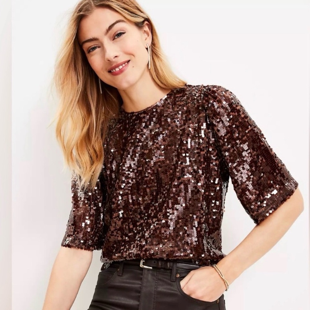 LOFT Mocha Sequin Short Sleeve Blouse Sz XXL NWT